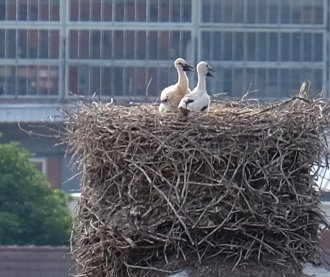 Der Blick vom Turm 2018