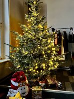 Weihnachtsprogramm 2022