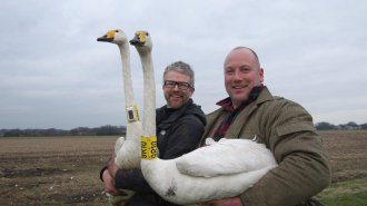 Fast 90 % der Schüler erkannten den Eisvogel,