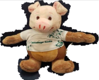 Saubär 2021 Saubär 2021